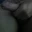 Bigg