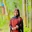 Sahid indian
