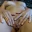 Les Gourmands