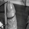 Hornyme