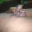 Belal